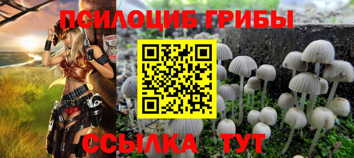 Галлюциногенные грибы мухоморы  Вход с VPN  Кизилюрт 