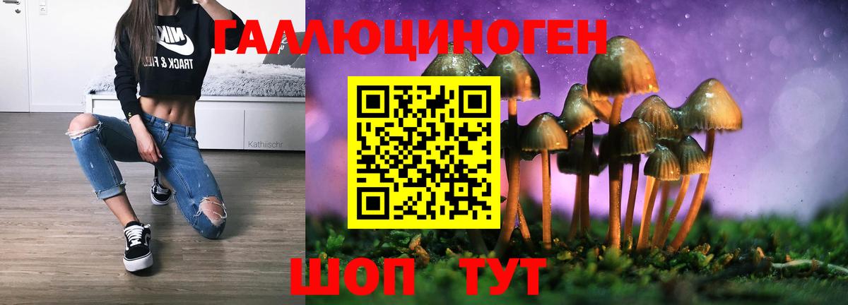 Галлюциногенные грибы Psilocybine cubensis Кизилюрт